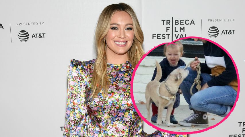 Süß: Hilary Duffs Tochter auf Tuchfühlung mit einem Hund
