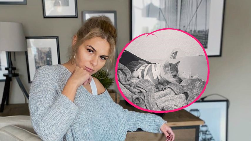 Bachelor-Janine hat nach Kampfhund-Angriff Panikattacken