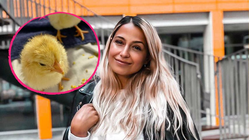 Aus Discounter-Eiern: Jenefer Riili ist jetzt Küken-Mama!