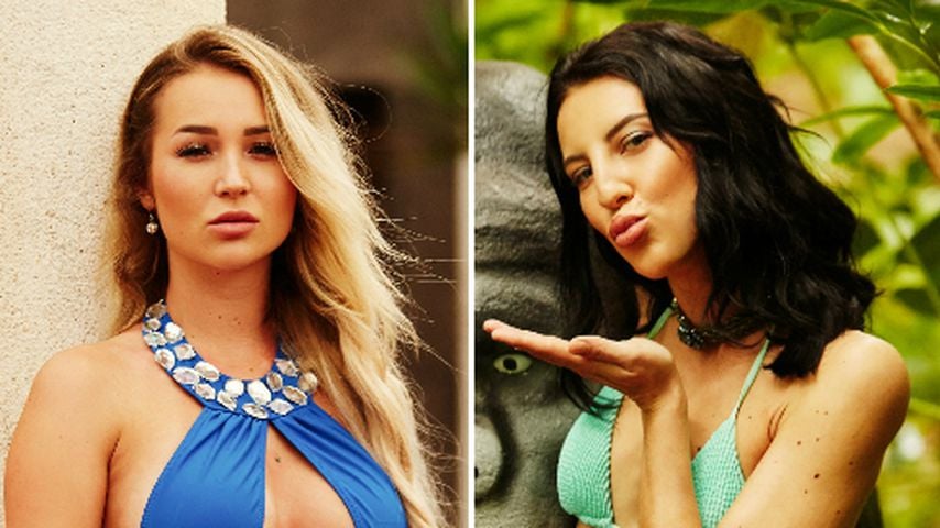 Wie "Love Island"-Jessi: Auch Vanessa will nur Bachelor-Fame
