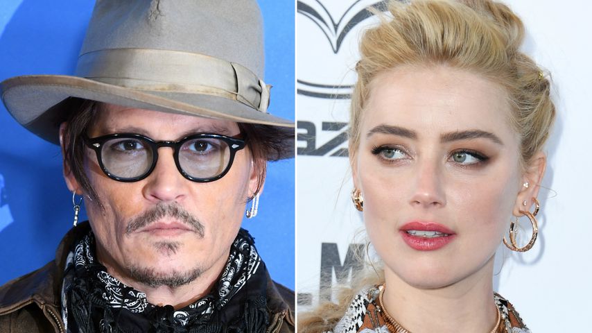 Kot im Ehebett: Trennte sich Johnny Depp darum von Amber?