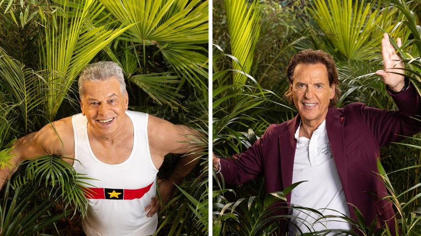 Streit um Affäre eskaliert zwischen Jürgen Hingsen und Jörg