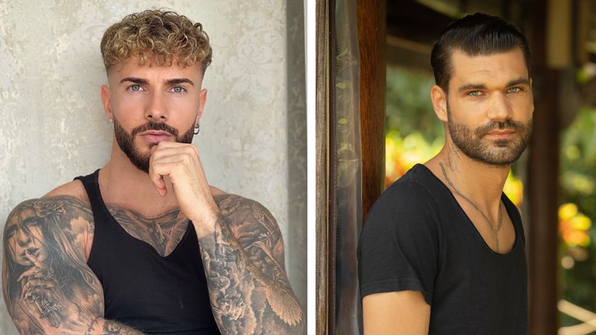 Ausraster: Kann Julian Evangelos Sommerhaus-Mike verstehen?