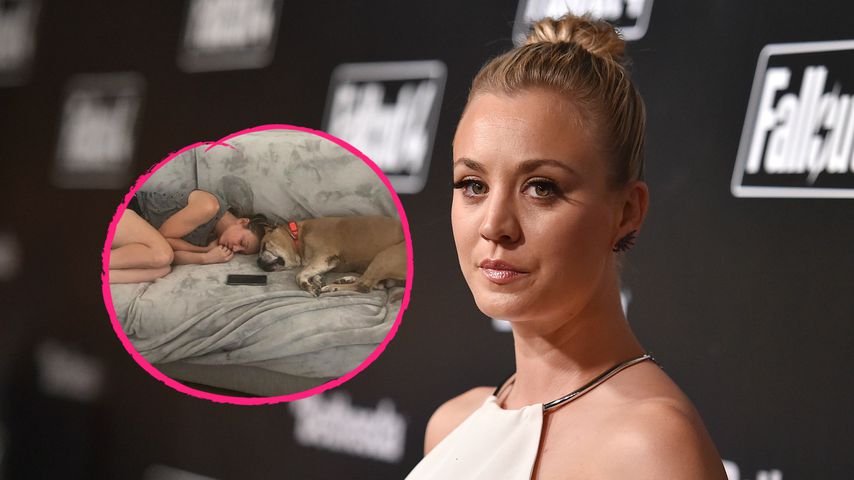 Kaley Cuoco und ihr Ehemann trauern um ihre Hündin Petunia