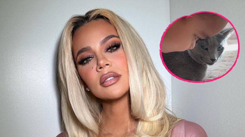 Süßer Clip: Khloé Kardashians Sohn Tatum kuschelt mit Katze