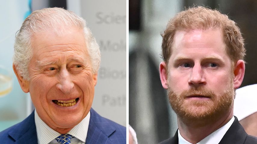 König Charles erfreut über Prinz Harrys Besuch zur Krönung