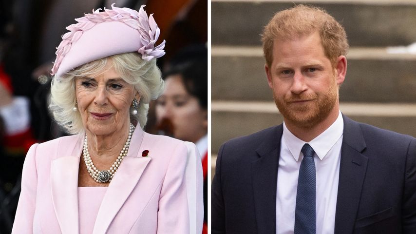So abfällig nennt Prinz Harry Königin Camilla in seinem Buch