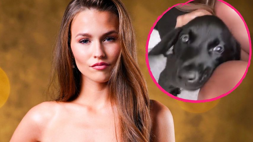 "Baby-Tiger": Laura Müller kuschelt mit ihrem Hundewelpen