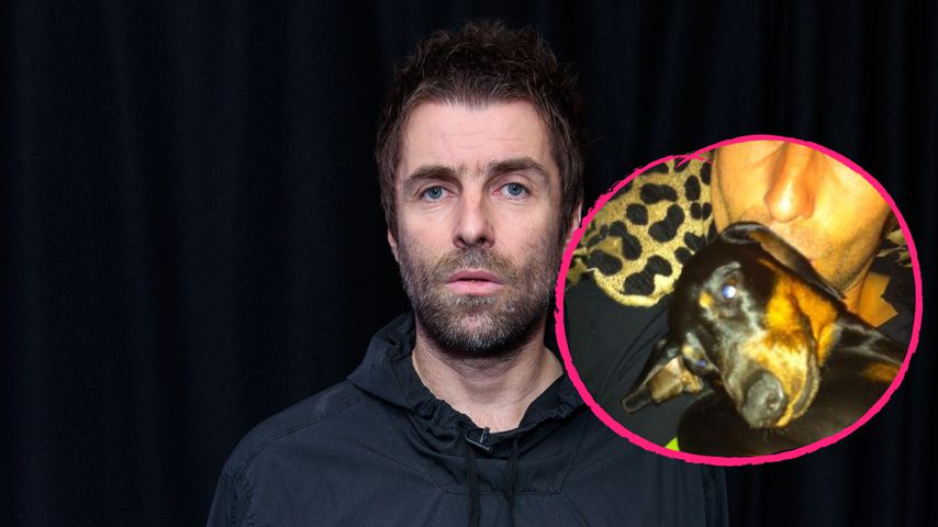 "Am Boden zerstört": Liam Gallagher trauert um seinen Hund
