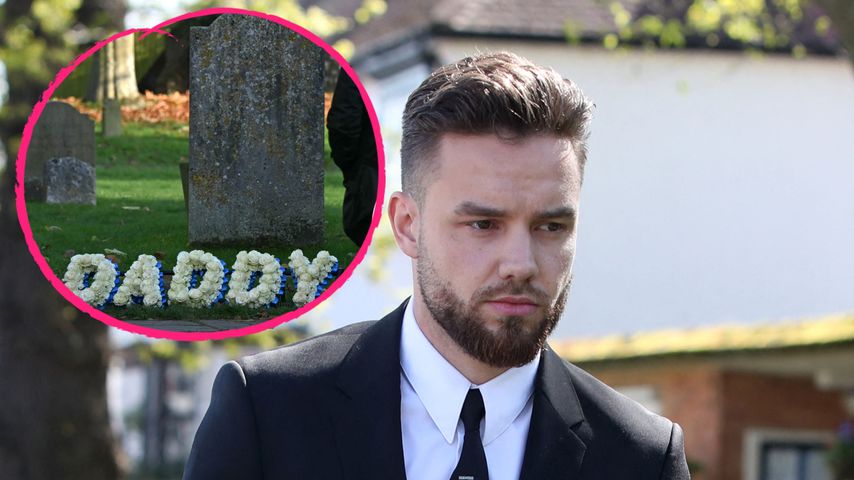 Collage: Liam Payne, Sänger