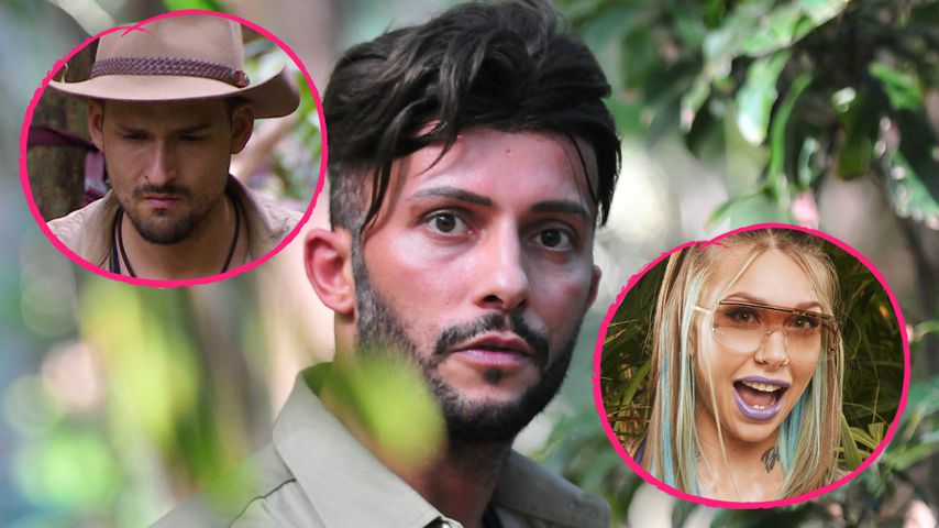 Frühes Dschungel-Aus: Diese Vorteile haben Marco und Toni