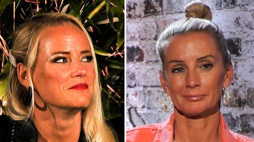 Nach Sommerhaus-Beef: Maritta und Peggy machen sich Vorwürfe