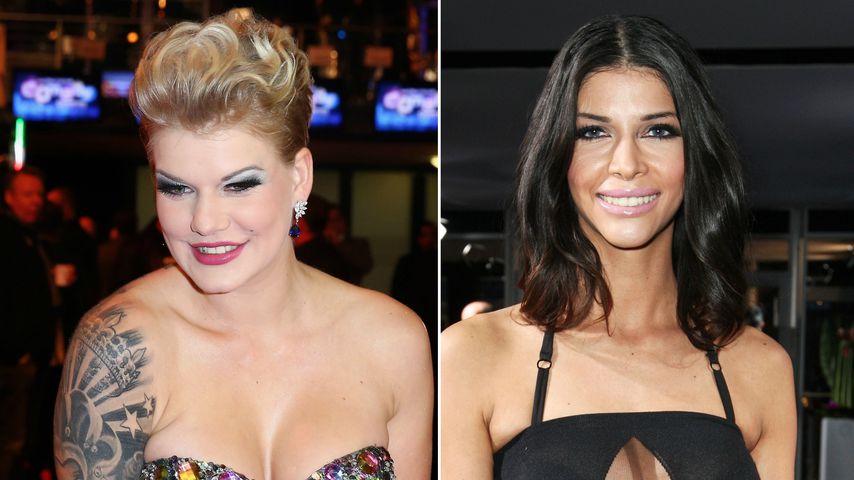 Busch-Battle: Diese Ex-Dschungelcamp-Stars dissen sich im TV