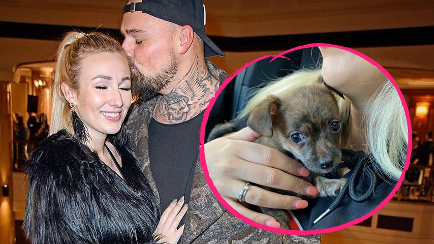 Zweiter Hund: Nachwuchs bei Jessica und Niklas Schröder