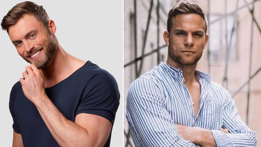 Bachelor Niko im Gefühlschaos: Basti Preuss versteht ihn!
