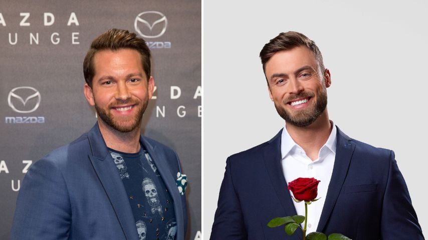 "Sparversion": Oliver Sanne hat Mitleid mit Bachelor Niko