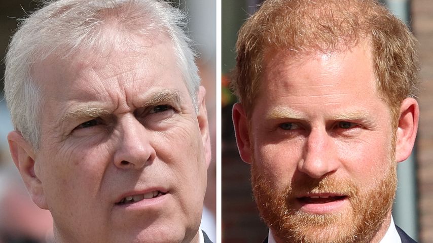 Sind Prinz Andrew und Harry der Royal-Family nicht würdig?