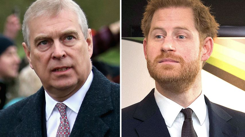 Wurde Skandal um Prinz Andrew gegen Prinz Harry eingesetzt?