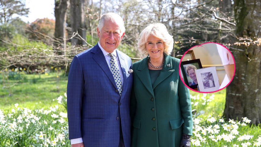 In Charles' Wohnzimmer: Süße Bilder von Meghan und Harry