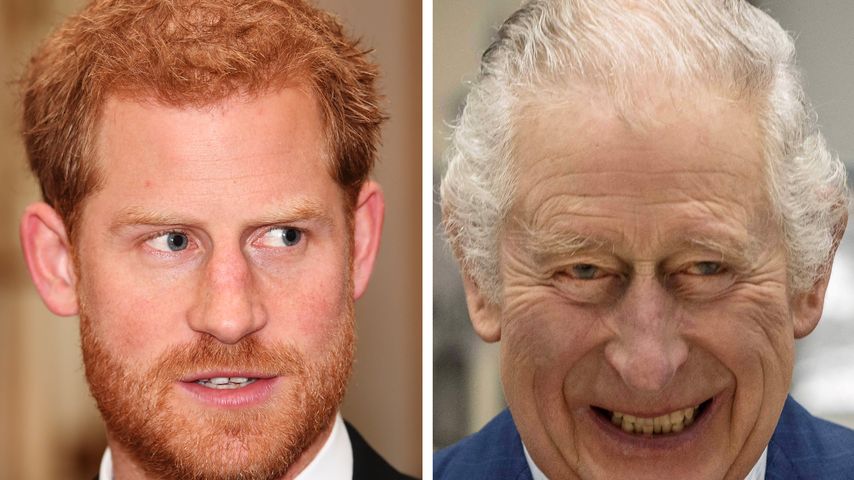 Nach Harrys Rauswurf: König Charles modernisiert Monarchie