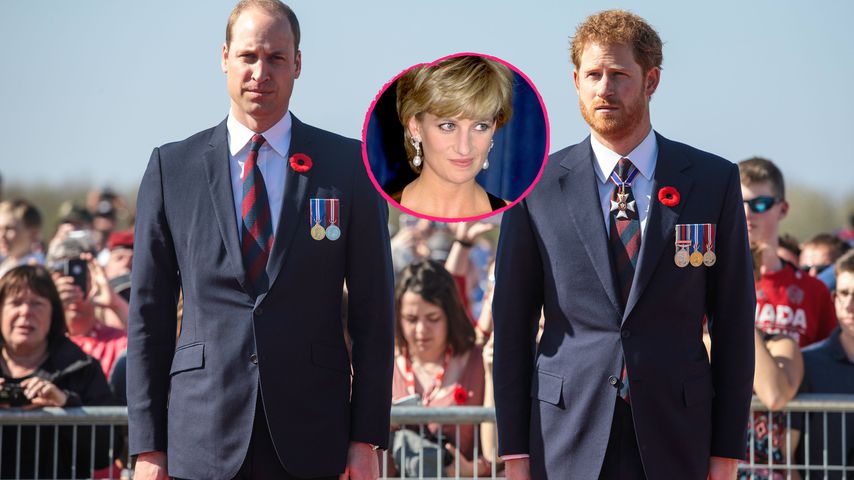 Prinz Williams Kampf um Diana-Interview: Hilft Harry nicht?