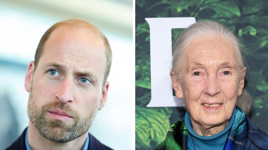 Prinz William ehrt Jane Goodall (†91) für ihren Pioniergeist