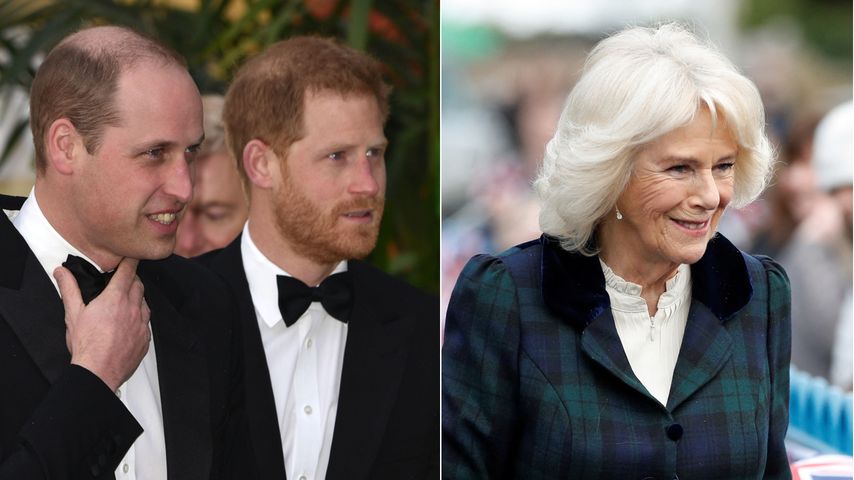 Wussten Prinz William und Harry nichts von Camillas Titel?
