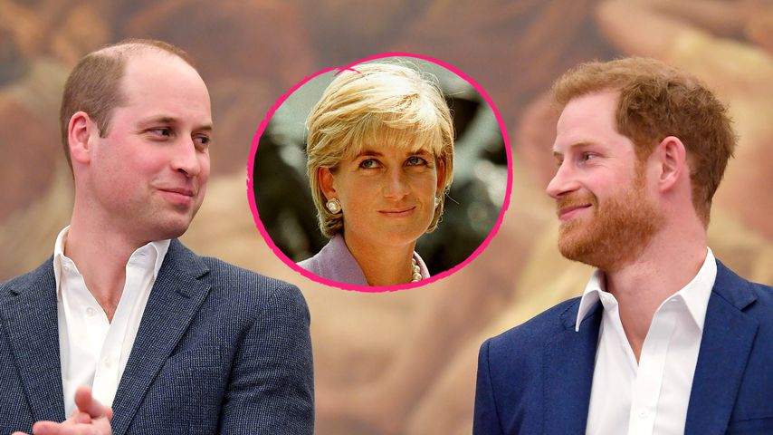 William und Harry geben Update zu Prinzessin-Diana-Denkmal