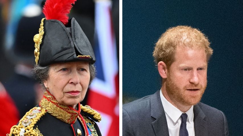 Royale Fehde: Prinzessin Annes Vertrauen hat Harry verspielt