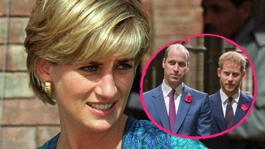 Hätte Diana Streit zwischen William und Harry geschlichtet?