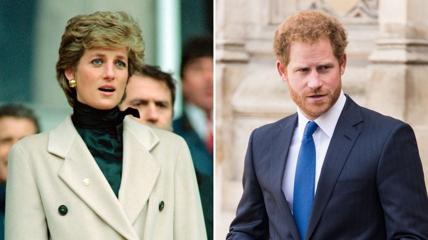Akte über Dianas Tod: Prinz Harry sah Fotos der Leichen
