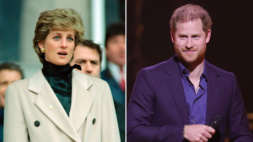 Experte: Diana wäre entsetzt von Prinz Harrys "Illoyalität"