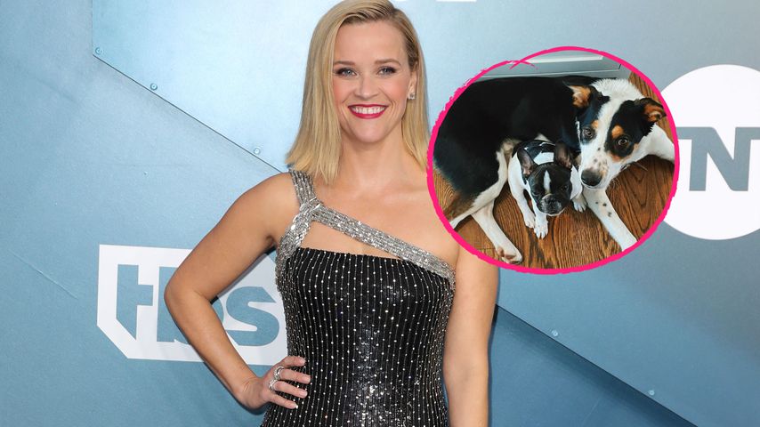 Reese Witherspoon stellt tierischen Familienzuwachs vor!