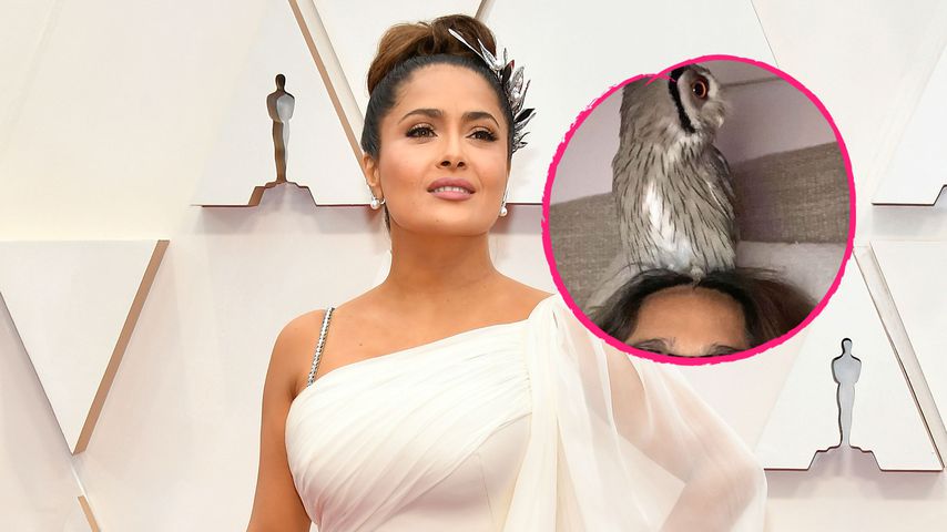 Mit Eule auf dem Kopf: Salma Hayek teilt Schlafzimmer-Pic