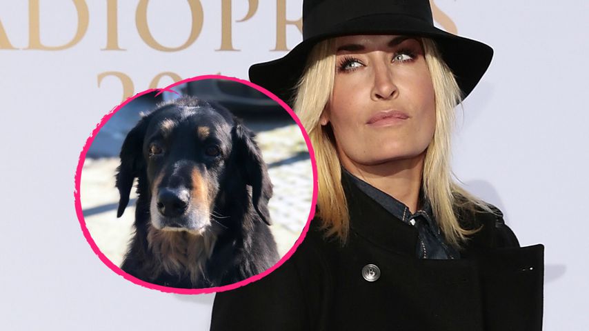 Sarah Connor traurig: Hündin Nala nach 13 Jahren verstorben