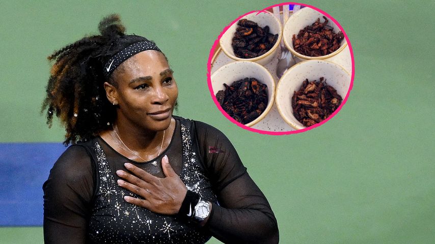 Serena Williams serviert Gästen bei Dinnerparty Kakerlaken