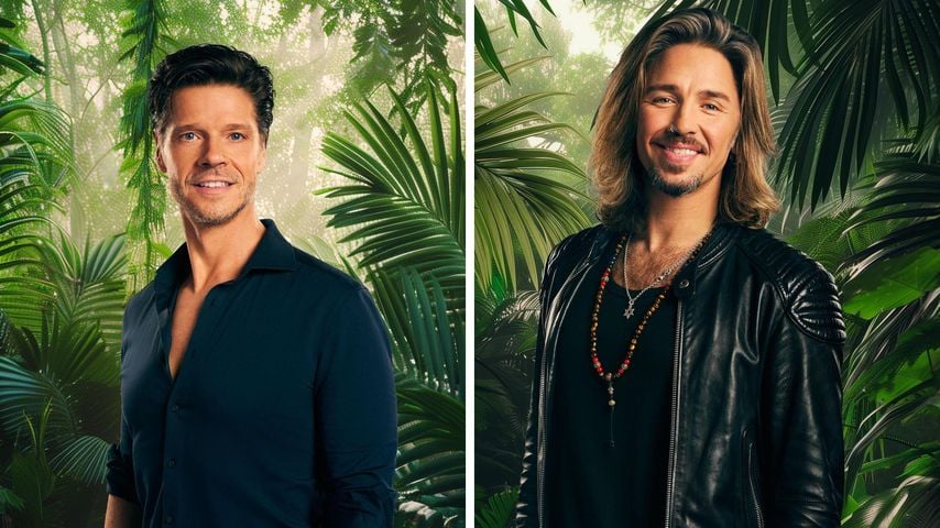 "Einfach entschieden": Stephen Dürr reagiert auf Camper Gil