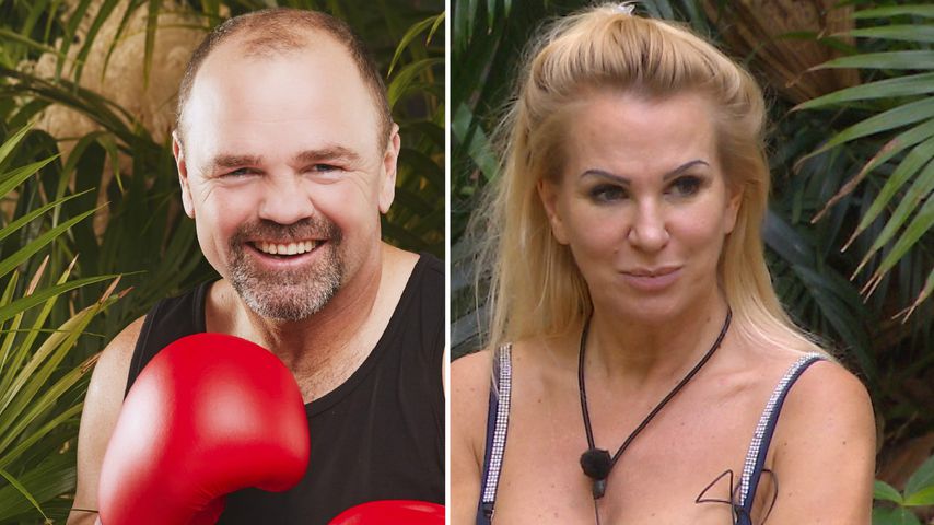 Wendler zahlt nicht: Dschungel-Sven rät Claudia zu Anwalt