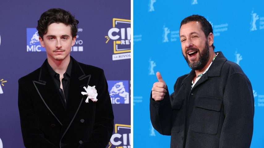 "Er ist unglaublich": Timothée Chalamet verehrt Adam Sandler