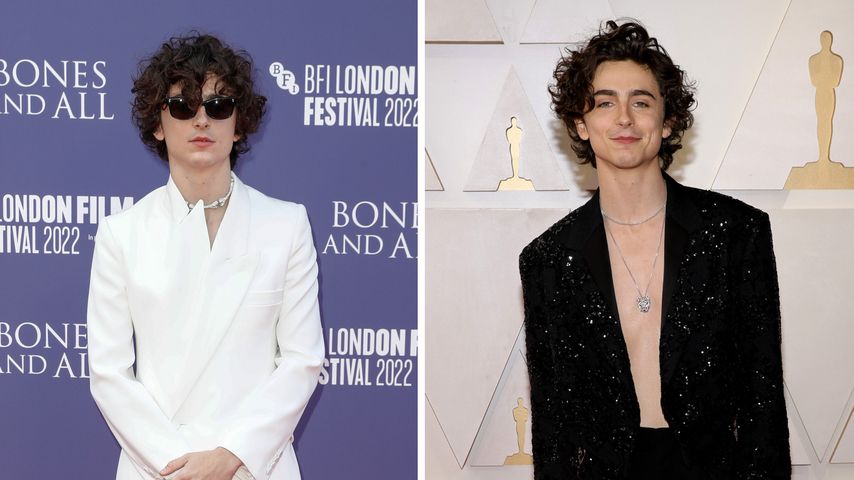 Das sind Timothée Chalamets schönste Red-Carpet-Looks!