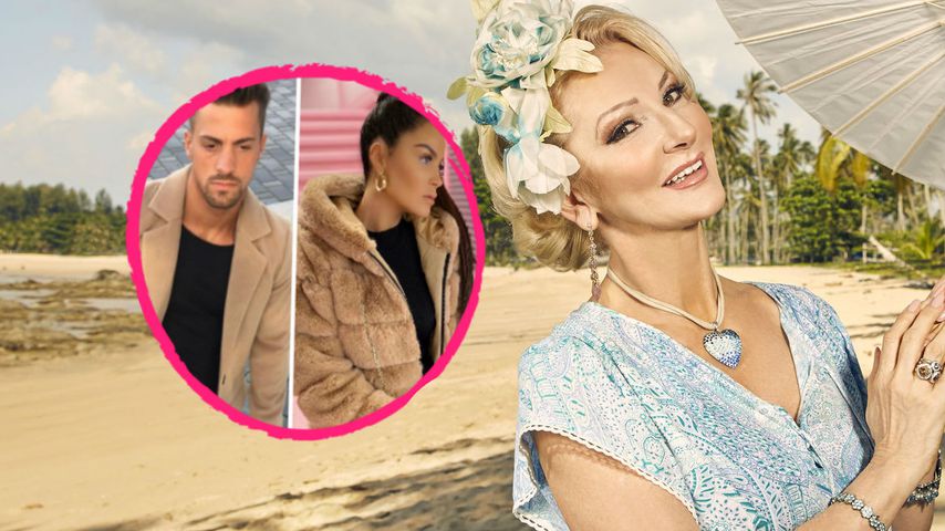 "Paralysiert": So schlichtete Désirée Nick Tobi-Janine-Beef!