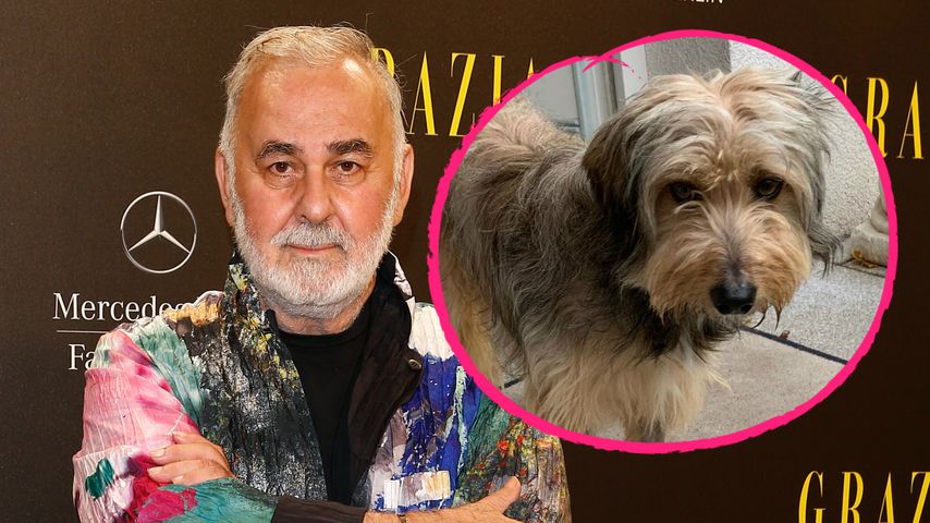 Nach Tod von Oskar 2: Udo Walz adoptiert Hund namens Oskar 3