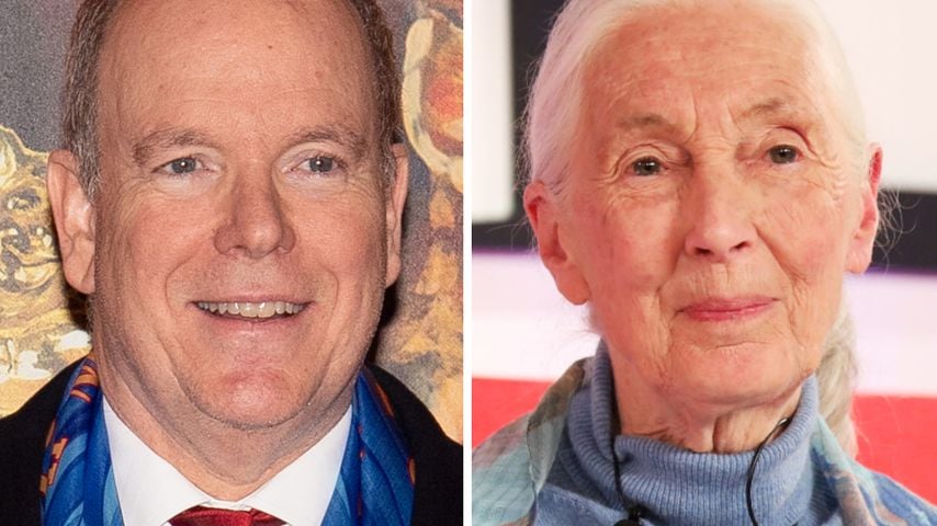 Fürst Albert nimmt Abschied von Ikone Jane Goodall (†91)