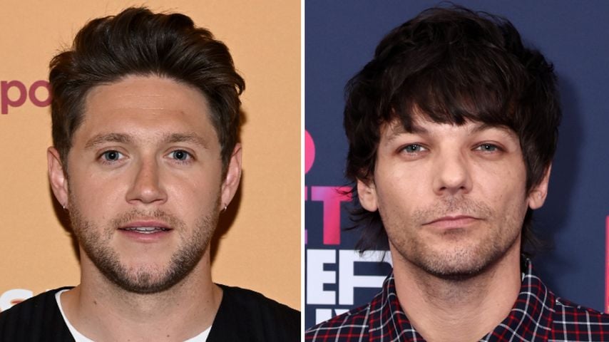 Niall Horan unterstützt Louis nach Zayn Maliks Attacke