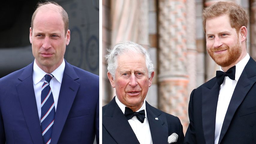 Verhindert William König Charles und Harrys Versöhnung?