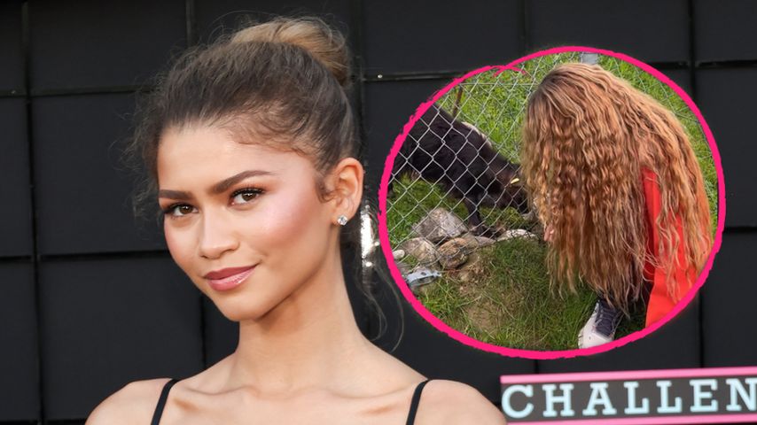 Wie Shakira? Zendaya Coleman überrascht mit neuer Frisur