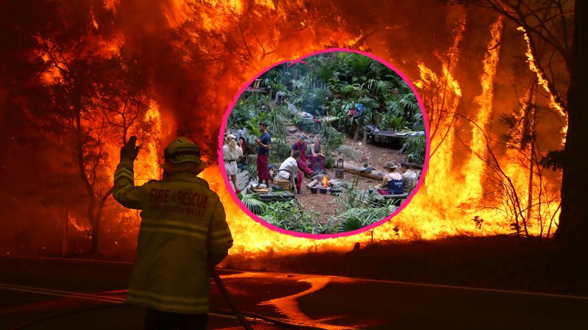 Danni Büchner und Co: Dschungelcamp von Waldbränden bedroht?
