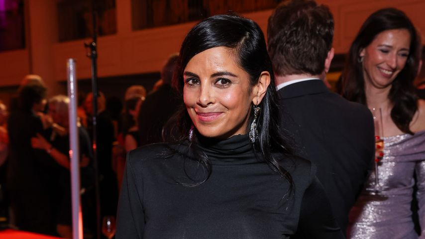 Collien Ulmen-Fernandes, TV-Bekanntheit