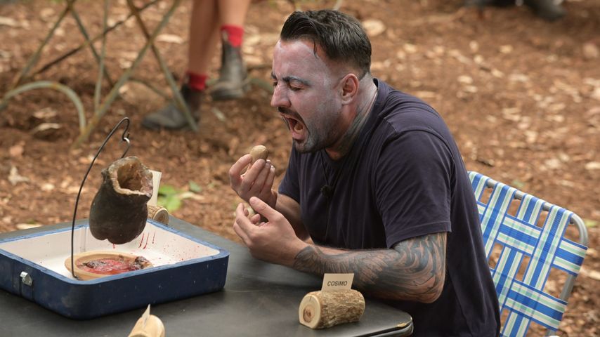 Cosimo Citiolo bei der Dschungelprüfung