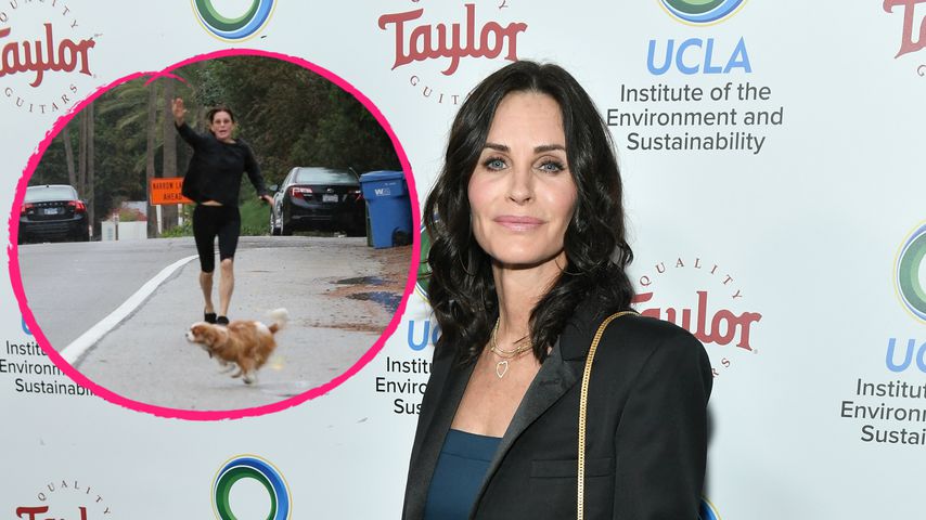 Dramatische Bilder: Courteney Cox' Hunde knapp vor Unfalltod